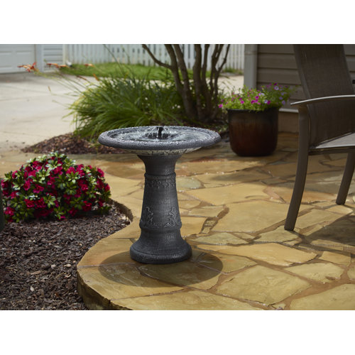 Arlmont & Co. Aquanura Birdbath Insert & Reviews Wayfair